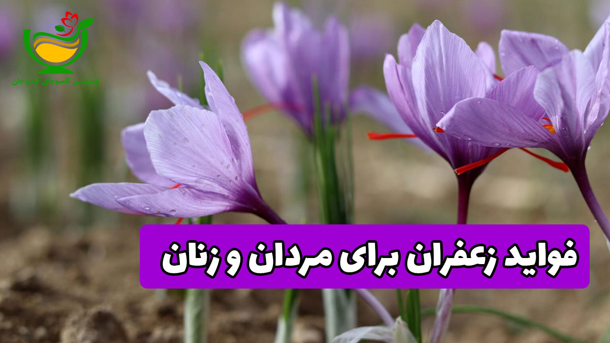 فواید زعفران برای زنان و مردان