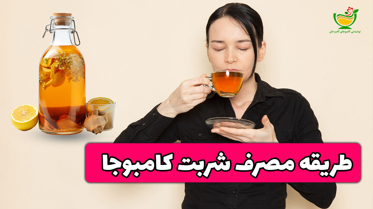 طریقه مصرف کامبوجا