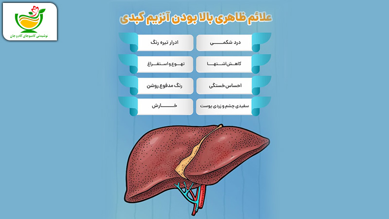 علائم بالا بودن آنزیم‌های کبدی 