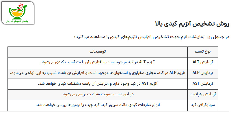 تصویری از آزمایش آنزیم کبدی و آزمایش های تشخیص آنزیم کبدی