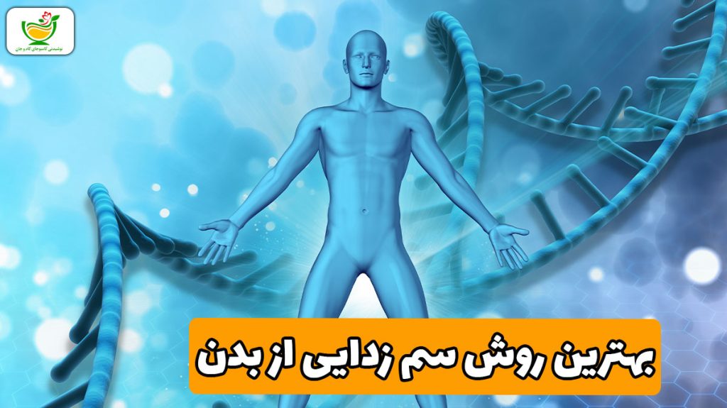 بهترین روش سم زدایی فلزات سنگین از بدن