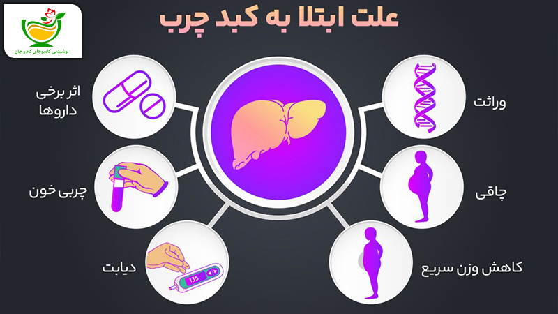 عوامل ابتلا به بیماری کبد چرب