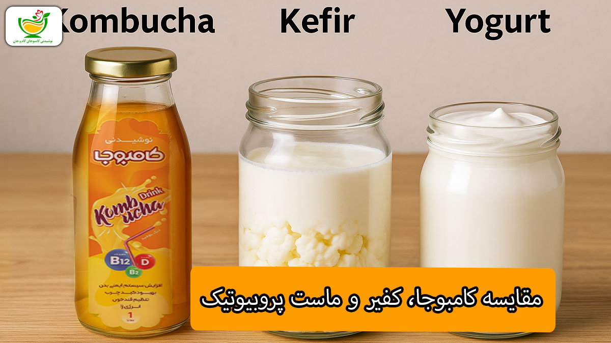 مقایسه کامبوجا، کفیر و ماست پروبیوتیک